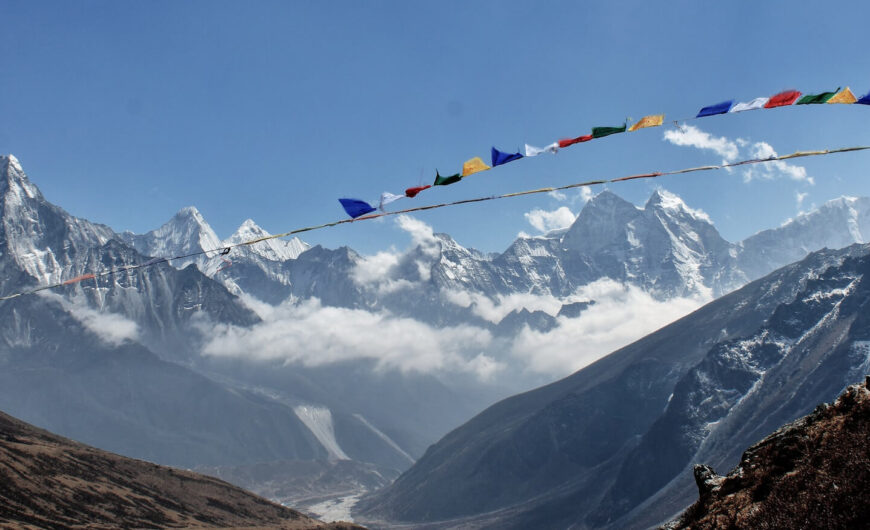 Adventure Walkway expedition photo 2