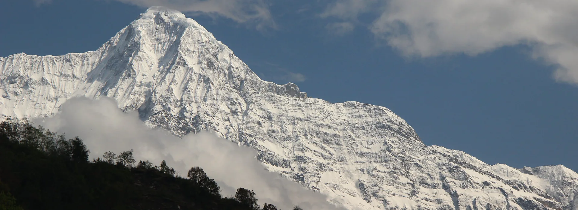 Adventure Walkway expedition photo 1