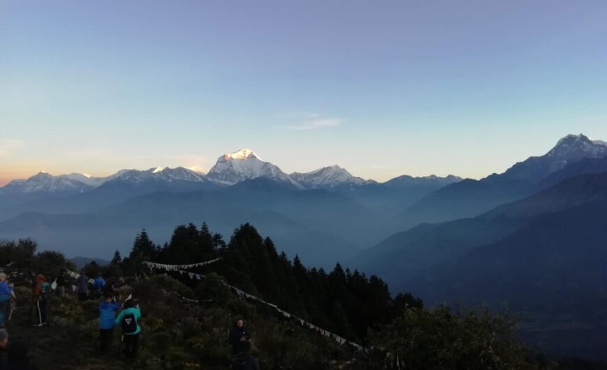 Adventure Walkway expedition photo 3