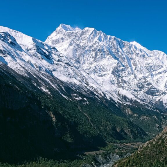 Scenic Annapurna Circuit trekking trail with lush green hills and winding paths in Nepal.