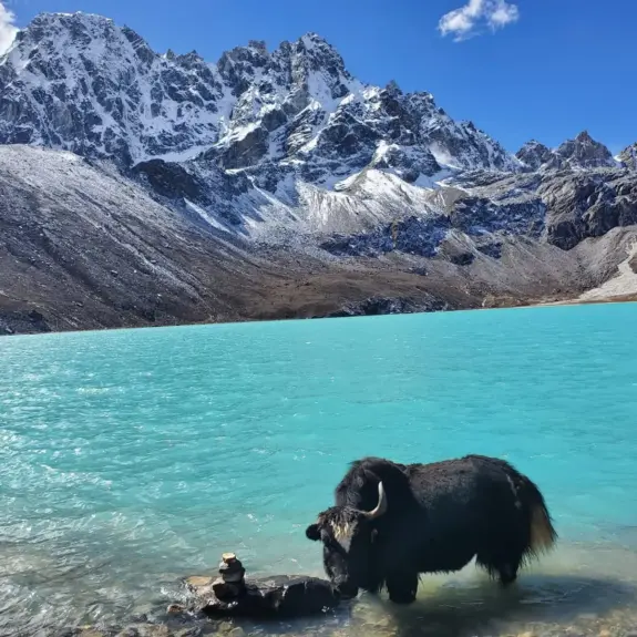 Everest Gokyo Lakhe