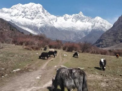 Manaslu Circuit Trek – Himalayan mountain trails with villages and local life, Nepal