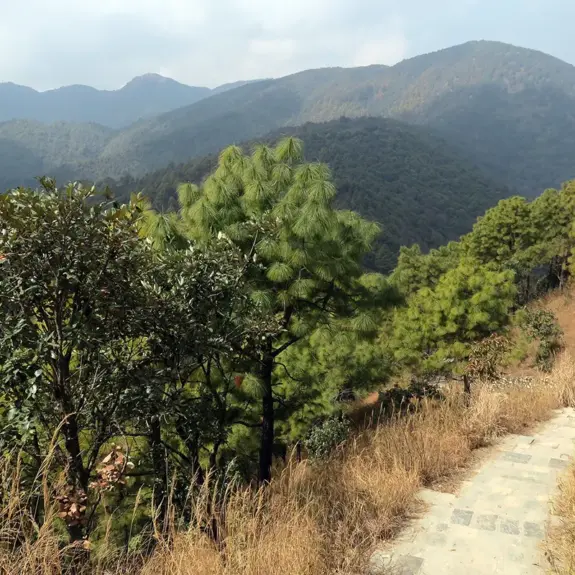 Champadevi