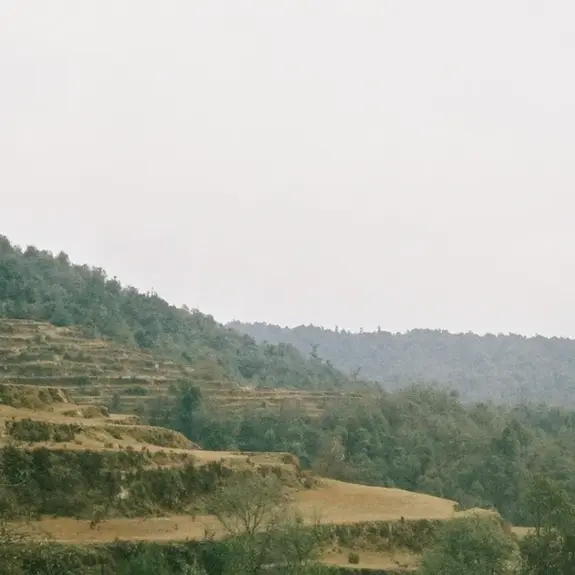 Shivapuri Day Hike